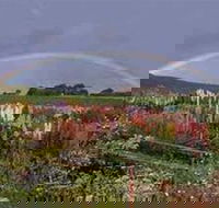 Boat Harbour Garden Cottages - Accommodation Brunswick Heads