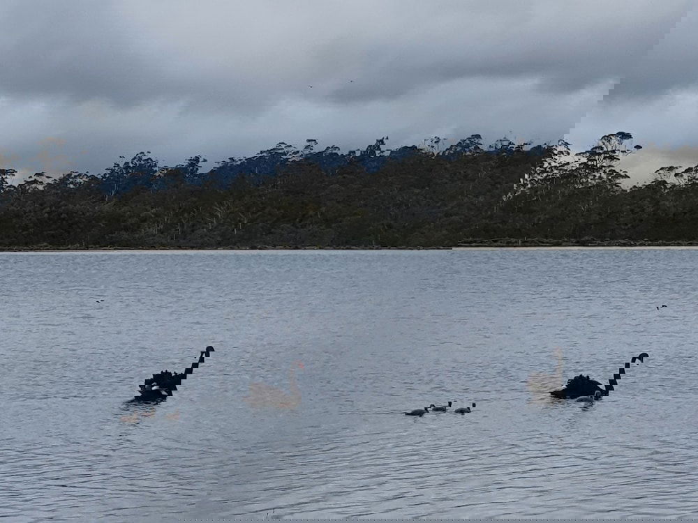 Accommodation Brunswick Heads