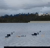 Lake Yalleena Nature Retreat - Accommodation Brunswick Heads