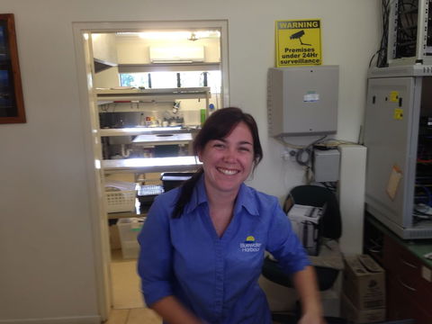 Bluewater Harbour Motel - Accommodation Brunswick Heads 4