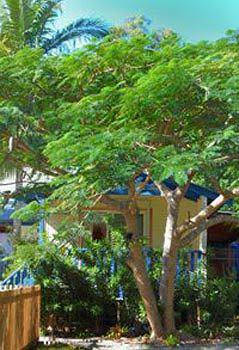 Ewingsdale NSW Accommodation Brunswick Heads