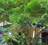Amber Gardens Guesthouse - Accommodation Brunswick Heads