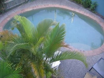Noosa River Sandy Shores - Accommodation Brunswick Heads 4