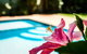 Coffs Harbour Holiday Apartments - thumb 1