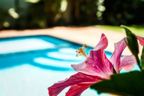 Coffs Harbour Holiday Apartments - Accommodation Brunswick Heads 1