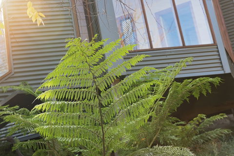 Cladich Pavilions - Accommodation Brunswick Heads 1