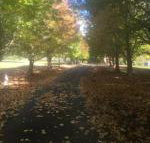 A peaceful cabin in the country - Accommodation Brunswick Heads