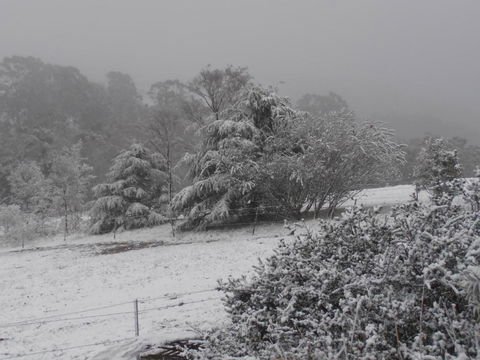 Springmead Rustic Cabin - Accommodation Brunswick Heads 6