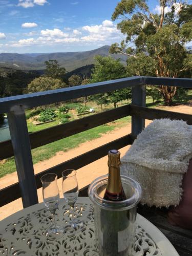 Springmead Rustic Cabin - Accommodation Brunswick Heads 4