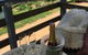 Springmead Rustic Cabin - thumb 0