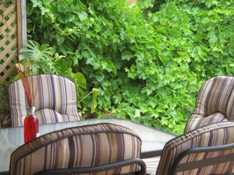 Amalie Cottage Waikerie Unit 1 - Accommodation Brunswick Heads 6