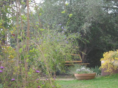 Amalie Cottage Waikerie Unit 1 - Accommodation Brunswick Heads 5