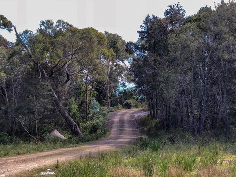 BAY Of FIRES ECO HUT Off Grid Experience At Binalong Bay - Accommodation Brunswick Heads 3
