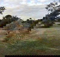 Young Budget Accommodation - Accommodation Brunswick Heads