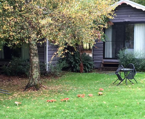 Crossways Country Inn - Accommodation Brunswick Heads 4