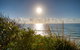 Osprey Sapphire Beach NSW - thumb 6