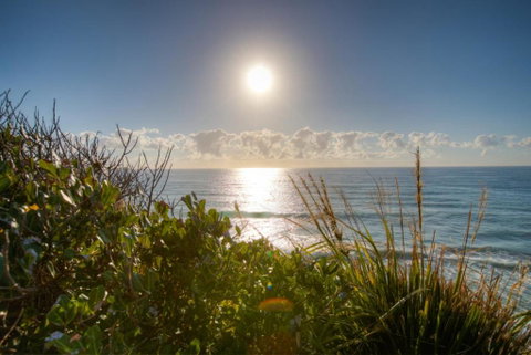 Osprey Sapphire Beach NSW - Accommodation Brunswick Heads 6