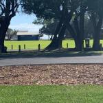 Yaringa Cottage...by The Sea - Accommodation Brunswick Heads 0