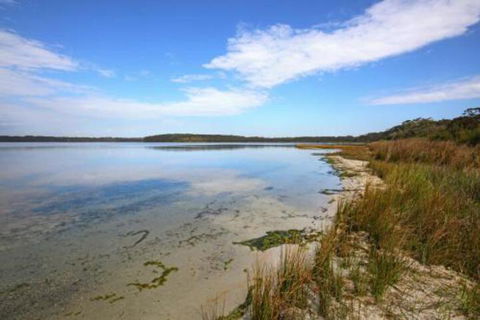 Zen At Culburra Pet Friendly 8 Mins To Beach - Accommodation Brunswick Heads 4