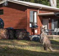 Wonderland Cottages - Accommodation Brunswick Heads