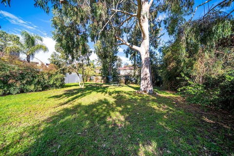 Evergreen On Franklin Family Friendly Wifi Unique - Accommodation Brunswick Heads 3