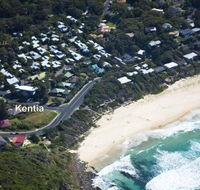KENTIA - Accommodation Brunswick Heads