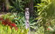 Jetty House - thumb 6
