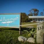 Cowell SA Accommodation Brunswick Heads