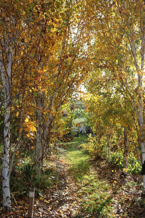 Magenta Cottage - Accommodation Brunswick Heads 1