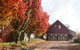 Magenta Cottage - thumb 6