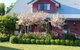 Magenta Cottage - thumb 4