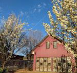 Magenta Cottage - Accommodation Brunswick Heads