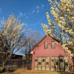 Magenta Cottage - Accommodation Brunswick Heads 0