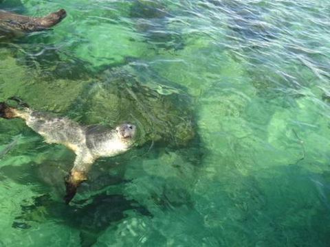 Acaciabnb - Accommodation Brunswick Heads 5