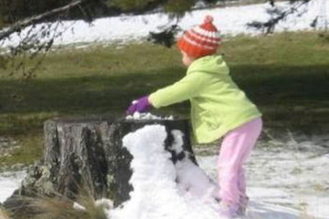 Castagni Bed & Breakfast - Accommodation Brunswick Heads 6