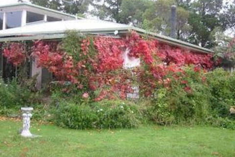 Castagni Bed & Breakfast - Accommodation Brunswick Heads 2