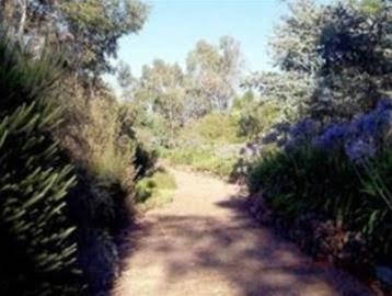 Kooringal Homestead - Accommodation Brunswick Heads 0