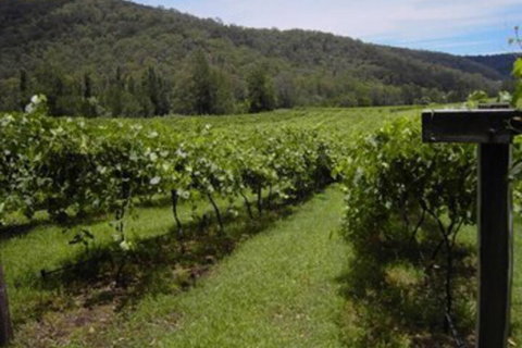 Cedar Creek Cottages - Accommodation Brunswick Heads 2