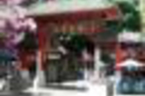 The Harbour Phoenix - Accommodation Brunswick Heads 4