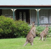 Cedar Lodge Cabins