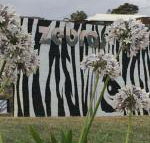 Zebras Guest House - Accommodation Brunswick Heads