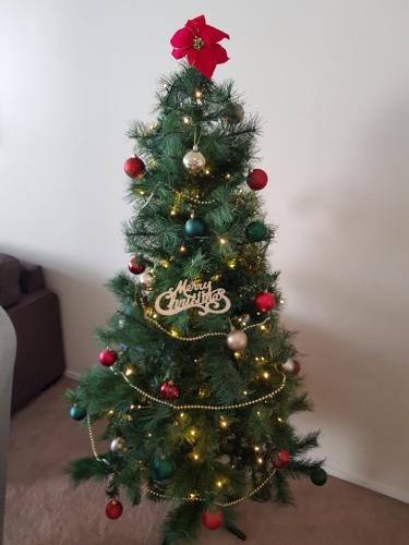 Sunshine Beach Retreat 3 Bedroom Family Apartment Wifi Netflix 2 Cars - Accommodation Brunswick Heads 3