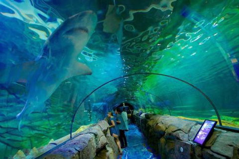 A Modern & Cozy Studio Next To Darling Harbour - Accommodation Brunswick Heads 6