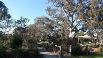Mt Cooper Inn - Accommodation Brunswick Heads 5