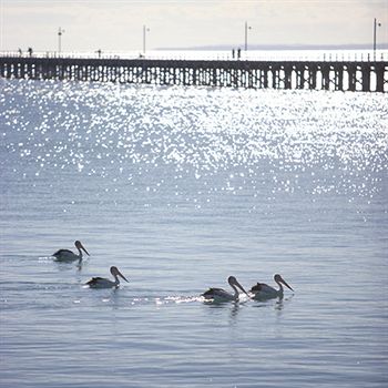Peppers Pier Resort - Accommodation Brunswick Heads 3