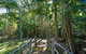 Paperbark - thumb 1