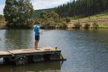 Nannup Valley Chalets - Accommodation Brunswick Heads 1
