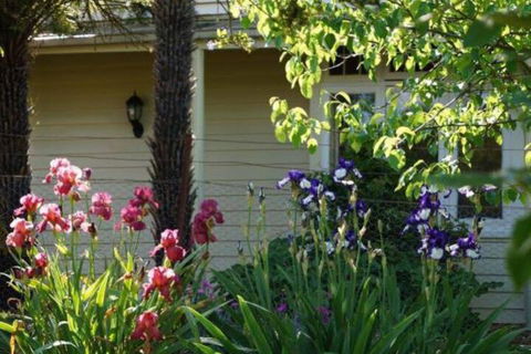 Eagles View Cottage Yarra Valley - Accommodation Brunswick Heads 1