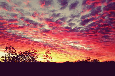 The Spotted Chook - Accommodation Brunswick Heads 1