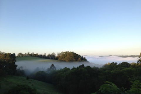 The Spotted Chook - Accommodation Brunswick Heads 0